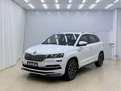 2023 Škoda Karoq TSI280 Premium Edition, фото 1, лот 10348795