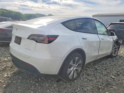 2023 TESLA MODEL Y, фото 3, лот 10801240