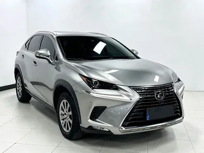 2020 Lexus NX 200 AWD F Sport China V, фото 3, лот 10889899