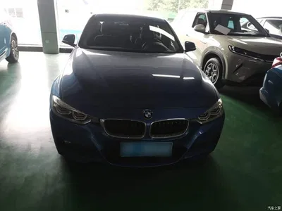 2017 BMW 3 Series 320Li M Sport, фото 3, лот 10889887