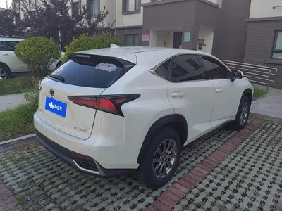2020 Lexus NX 200 FWD Sharp Edition China VI, фото 3, лот 10615907