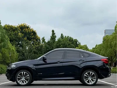 2017 BMW X6 xDrive35i Luxury, фото 4, лот 10422660