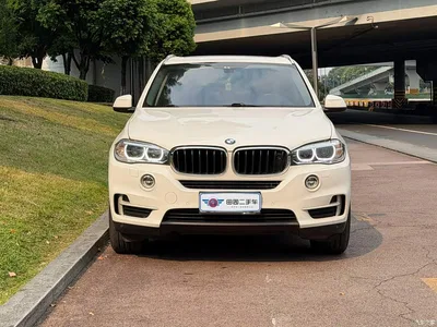 2014 BMW X5 (Import) xDrive35i Luxury, фото 2, лот 10463667