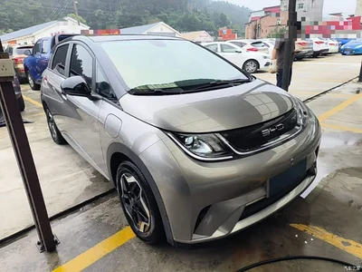 2021 BYD Dolphin Model 405km Fashion Edition, фото 4, лот 11073762