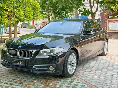 2013 BMW 5 Series 525Li Luxury, фото 1, лот 10443872