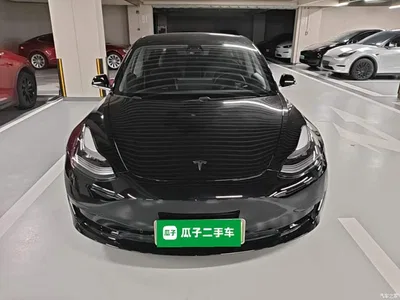 2020 Tesla Model 3 Standard Range Rear-Wheel Drive Upgrade, фото 3, лот 10389970