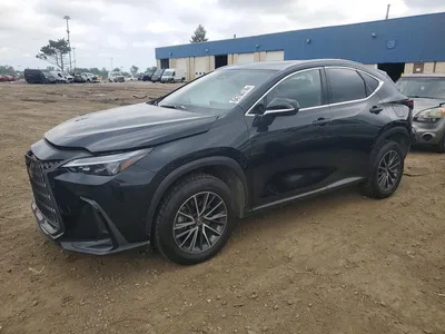 2024 LEXUS NX 350 PREMIUM, фото 1, лот 10662768