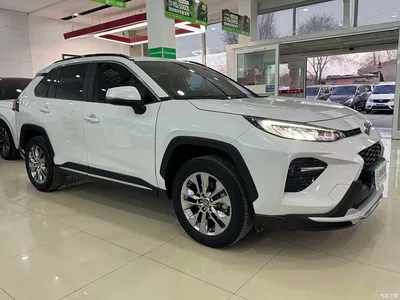 2020 Toyota Wildlander 2.0L CVT AWD Luxury Edition, фото 3, лот 10384538