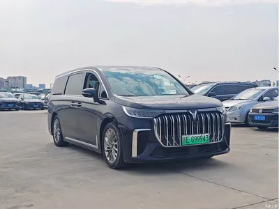 2024 Voyah Auto Voyah Dreamer PHEV Extended Range Flagship Edition, фото 3, лот 10479388