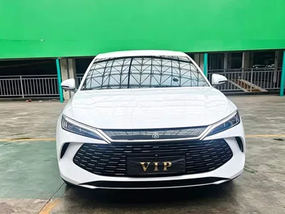 2024 BYD Qin L DM-i 80KM Leading Edition, фото 1, лот 10255768