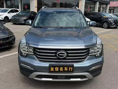 2017 GAC Trumpchi Trumpchi GS8 320T 2WD Luxury Smart Connect (7-seater), фото 2, лот 10415251
