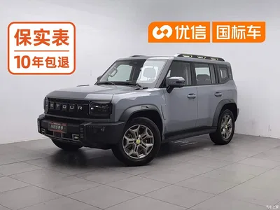 2023 Jetour Traveler 2.0T 4WD Conquest, фото 1, лот 11011362