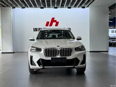 2022 BMW X3 xDrive25i M Sport Package, фото 2, лот 10460683