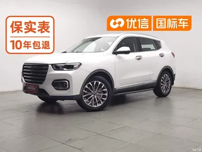 2020 Haval H6 1.5GDIT Automatic Platinum Champion Edition, фото 1, лот 10625732