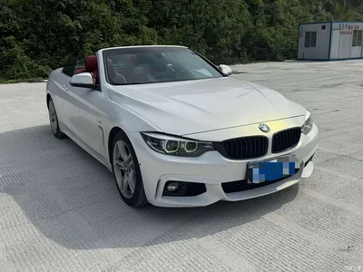 2019 BMW 4 Series 425i Convertible M Sport Package, фото 3, лот 10468110