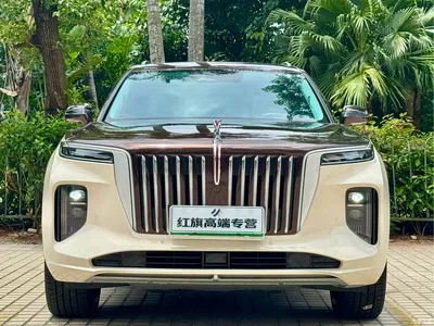 2022 Hongqi E-HS9 660km Qi Ling Edition (4-seater), фото 2, лот 10307289