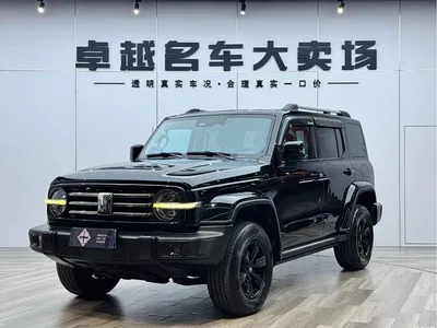 2021 Tank 300 Urban Edition 2.0T Stylish, фото 1, лот 10344180