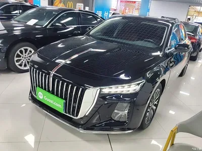 2025 Hongqi H5 2.0T Automatic Flag Celebration 500,000 Units Anniversary Edition, фото 1, лот 11203266