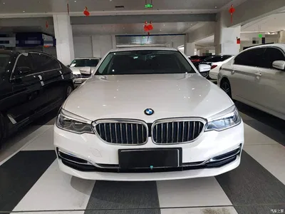 2019 BMW 5 Series New Energy Facelift 530Le Luxury Package, фото 3, лот 10474294