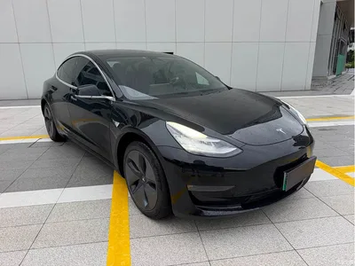 2019 Tesla Model 3 (Import) Long Range RWD Version, фото 1, лот 10368877