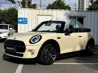 2019 MINI MINI Model 1.5T COOPER CABRIO Color Edition, фото 1, лот 11450671