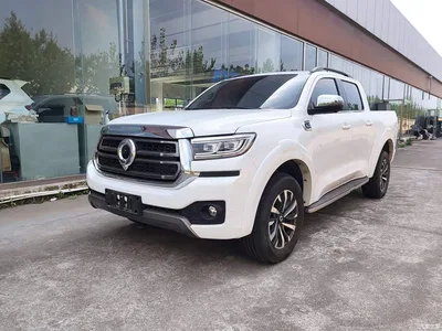 2023 Great Wall Pao 2.0T Passenger Automatic Gasoline 4WD Sport GW4C20B, фото 2, лот 10674975
