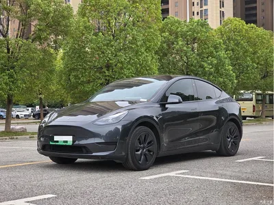 2024 Tesla Model Y Rear-Wheel Drive Version, фото 1, лот 10453741