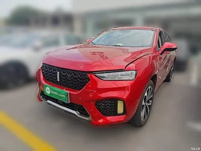2017 WEY VV7 2.0T Super Luxury, фото 2, лот 11195605