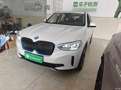 2021 BMW iX3 Pioneer, фото 1, лот 11213089