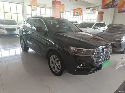 2021 Haval H6 Model National Trend Edition 1.5T Auto Champion, фото 4, лот 10435425