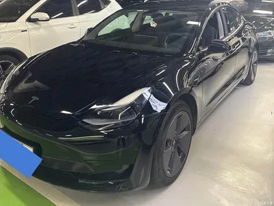 2019 Tesla Model 3 (Import) Long Range RWD Version, фото 1, лот 10357895