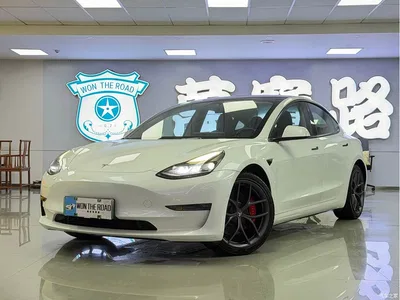 2021 Tesla Model 3 Performance High-Performance All-Wheel Drive, фото 1, лот 10356443