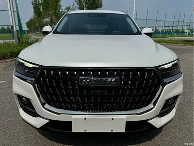 2023 Haval H6 National Trend Edition 1.5T Automatic Champion, фото 2, лот 10283476