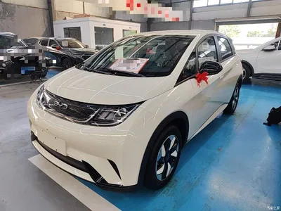 2025 BYD Dolphin 420km Freedom Edition, фото 1, лот 11579166