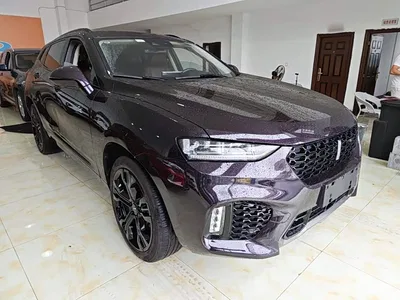 2017 WEY VV7 2.0T Flagship, фото 4, лот 10625182