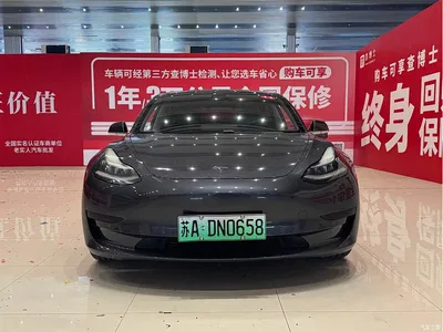 2020 Tesla Model 3 Standard Range Rear-Wheel Drive Upgrade, фото 2, лот 10346526