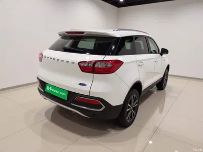 2017 Leopaard CS9 1.5L Manual Trend, фото 4, лот 11649023