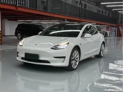 2019 Tesla Model 3 Standard Range Rear-Wheel Drive Upgrade, фото 1, лот 10371811