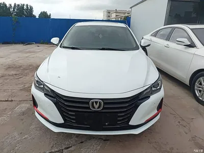 2021 Changan Ruicheng CC Blue Whale Edition 1.5T DCT Luxury, фото 3, лот 10273341