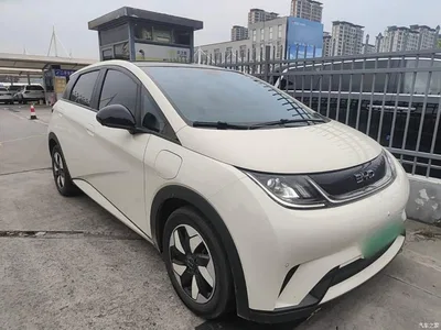 2025 BYD Dolphin 420km Fashion Edition, фото 4, лот 10259895