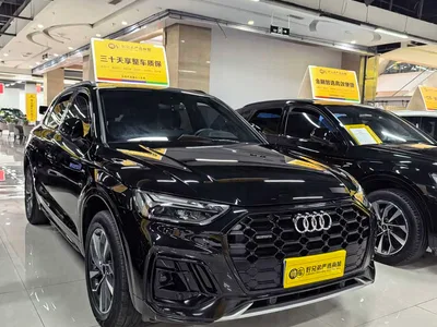 2024 Audi Q5L Model 40 TFSI Luxury Dynamic, фото 3, лот 11179570