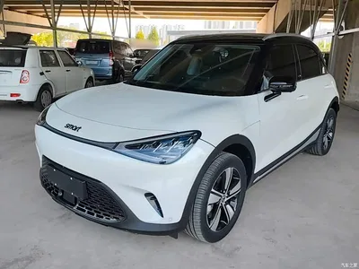 2024 smart Elf #1 Agile Standard Edition, фото 2, лот 10343650