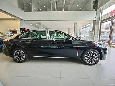 2025 Hongqi H5 2.0T Automatic Flag Celebration 500,000 Units Anniversary Edition, фото 3, лот 10288181