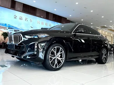 2023 BMW X6 xDrive40i M Sport Package, фото 1, лот 10450690