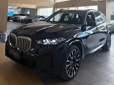 2024 BMW X5 xDrive 40Li Exclusive Black Flame Limited Edition, фото 1, лот 10463393