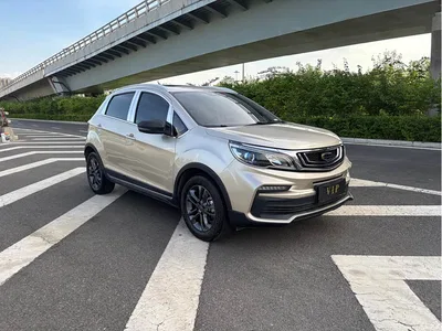 2020 Geely Vision X3 1.5L CVT Premium, фото 3, лот 10295388