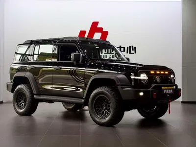 2024 Tank 300 2.0T Conqueror, фото 4, лот 11224157