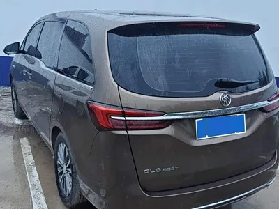 2021 Buick GL8 Land Business Class 652T Comfort, фото 3, лот 10256816
