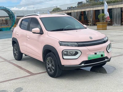 2022 Dongfeng Yipai Nano BOX Wind Chaser Edition 331KM Advanced Type, фото 3, лот 10828917