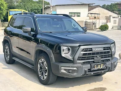 2024 Haval Big Dog 2.0T DCT Chinese Rural Dog Edition, фото 3, лот 11212361